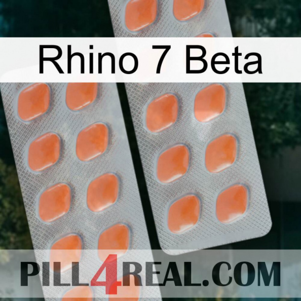 Rhino 7 Beta 27.jpg